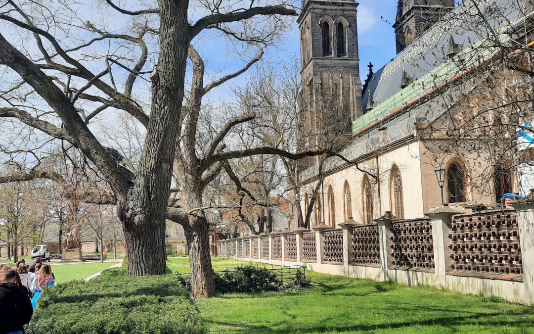 Mise Vyšehrad