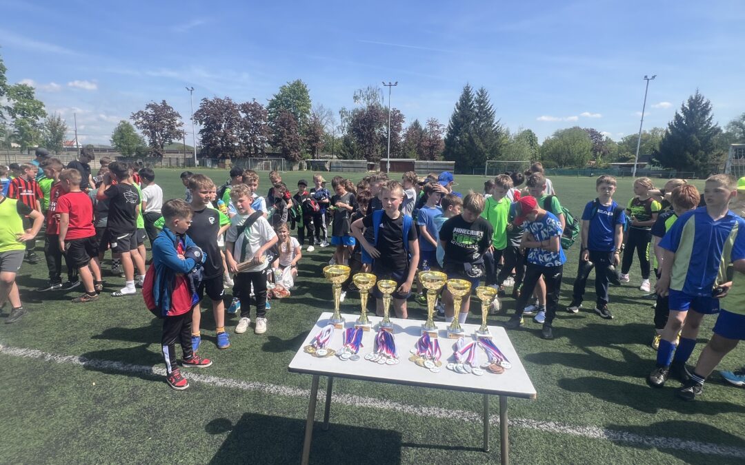 McDonald´s Cup – Okresní finále